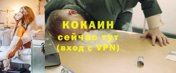 ПСИЛОЦИБИНОВЫЕ ГРИБЫ Баксан