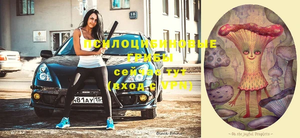 первитин Балахна