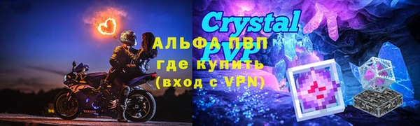 ПСИЛОЦИБИНОВЫЕ ГРИБЫ Баксан