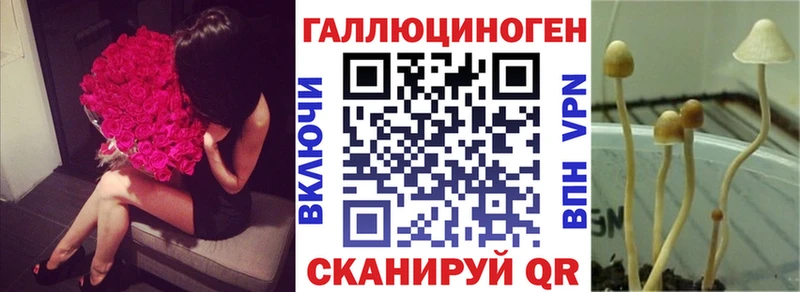 Псилоцибиновые грибы ЛСД  наркотики  Старица 